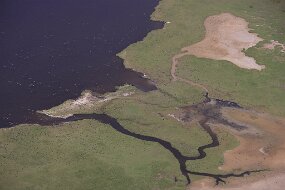 IMG_3200