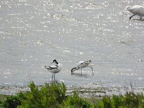 DSCN0523