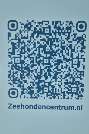 20250527_131627