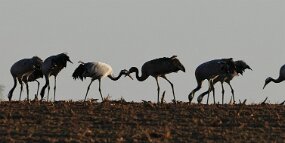 IMG_0772