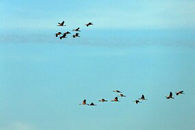 IMG_0787