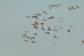 IMG_0792