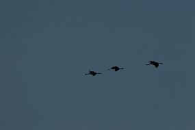 IMG_0846