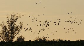 IMG_0852