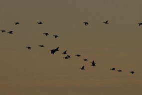 IMG_0881