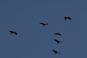 IMG_0902