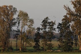 IMG_0935