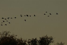 IMG_0944