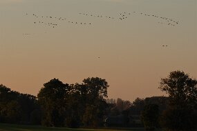 IMG_0959