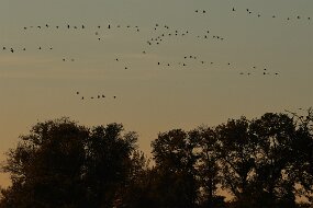 IMG_0965