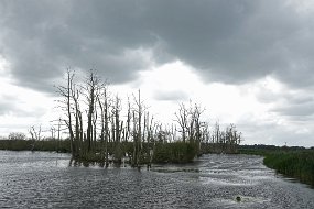 DSC01245