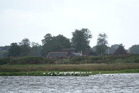 DSC01252