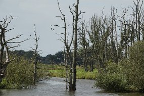 DSC01261