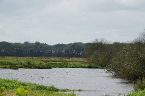 DSC01262
