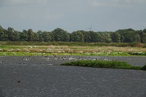 DSC01271