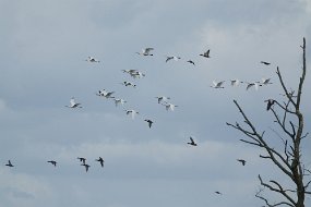 DSC01280