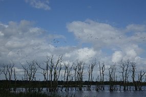 DSC01283