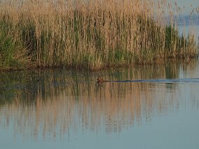 DSCN0259